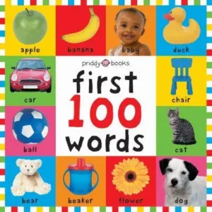First 100 Words - Bright Baby